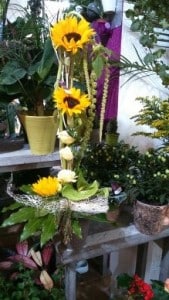 Nos réalisations, La Hotte Fleurie