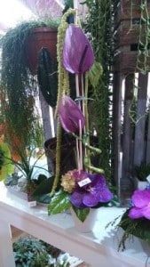 Nos réalisations, La Hotte Fleurie