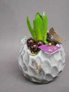 Nos réalisations, La Hotte Fleurie