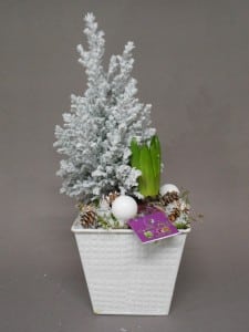 Nos réalisations, La Hotte Fleurie