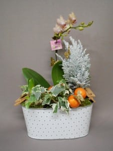 Nos réalisations, La Hotte Fleurie