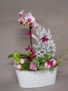 Nos réalisations, La Hotte Fleurie