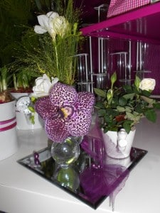 Nos réalisations, La Hotte Fleurie